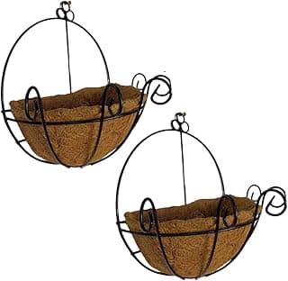 Dois vasos de parede de fibra de coco com estrutura preta