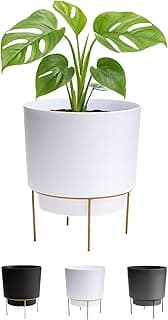 Vaso Hopson branco com suporte dourado, folhas verdes, fundo branco