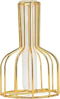 Vaso de flores dourado com design de tubo de ensaio, vidro transparente vazado