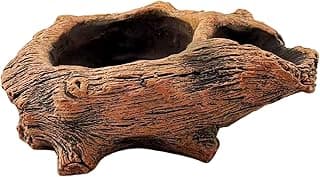 Vaso de plantas suculentas em forma de tronco de madeira com dois furos