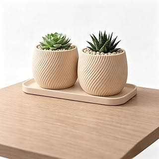 Conjunto com 2 Vasos Decorativos Texturizados e Bandeja em Cerâmica para Suculentas