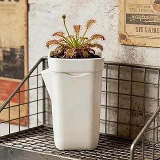 Mini vasos autoirrigáveis para plantas internas e externas, pequeno vaso de flores de plástico branco, orifício de drenagem, violetas africanas, alocasia, corte, semeadura (grande, 11 x 6,5 x 6,5 cm)