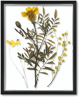 Porta-retrato flutuante com flores amarelas prensadas em moldura preta