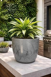 Vaso grande de cone liso em polietileno grafite com planta verde e amarelada
