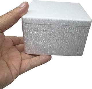 10 unid Caixa Térmica de EPS, pequena 250gr para medicamentos, sorvetes