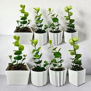 Kit com 8 vasos decorativos brancos modernos para sala, lavabo e ambientes internos com plantas verdes