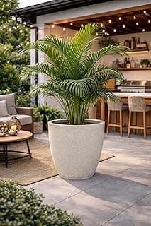 Vaso decorativo grande cinza com palmeira tropical para jardim ou varanda