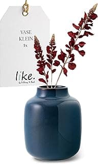 Vaso azul escuro 'like. by Villeroy & Boch' com plantas vermelhas