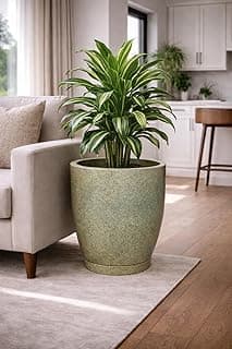Vaso redondo cinza com planta verde em sala de estar