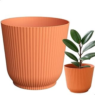 Cachepot Talin Pêssego laranja de polipropileno, 2,5L, 16cm x 15cm, vaso decorativo para plantas