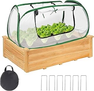 Estufa de jardim elevada com tampa transparente e bordas verdes, contendo alface verde, em fundo branco
