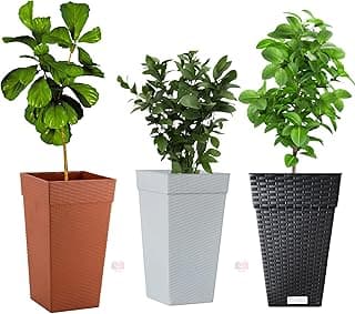 Tres vasos de plantas quadrados de coluna em rattan, cores marrom, branco e preto, com plantas verdes