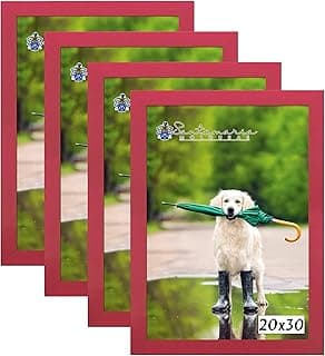 Kit 4 molduras para porta retratos 20x30 vermelho com cão branco