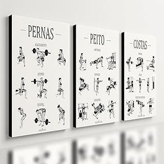 Kit 3 Quadros Decorativos Guia de Exercícios Academia - Pernas, Peito, Costas