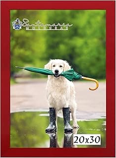 Moldura vermelha 20x30 com cão segurando guarda-chuva verde