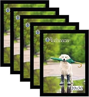 Kit 5 molduras pretas para porta retratos 20x30 com imagem refletida de um cão com guarda-chuva