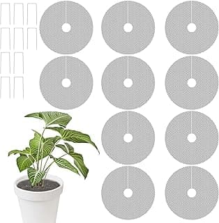 Grades de vaso de plantas de 30 cm com plantas em vaso branco