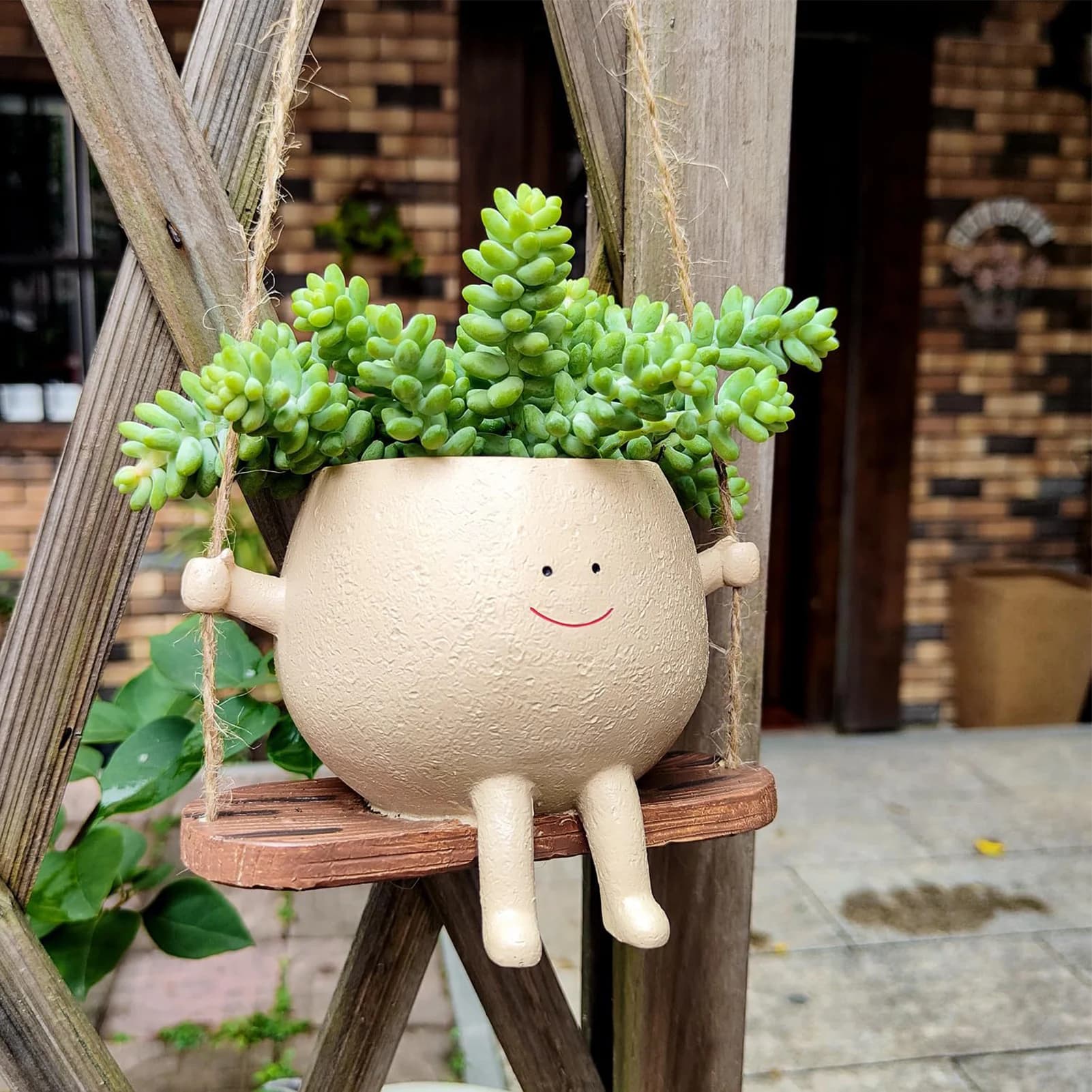 Planta pendente em forma de rosto sorridente com suculenta verde