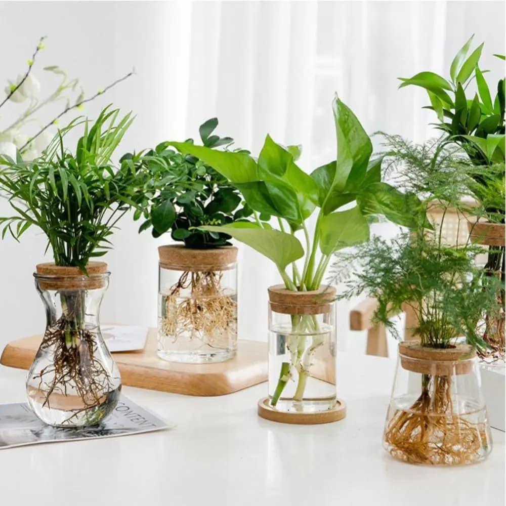 Vaso hidropônico transparente com plantas verdes e raízes visíveis