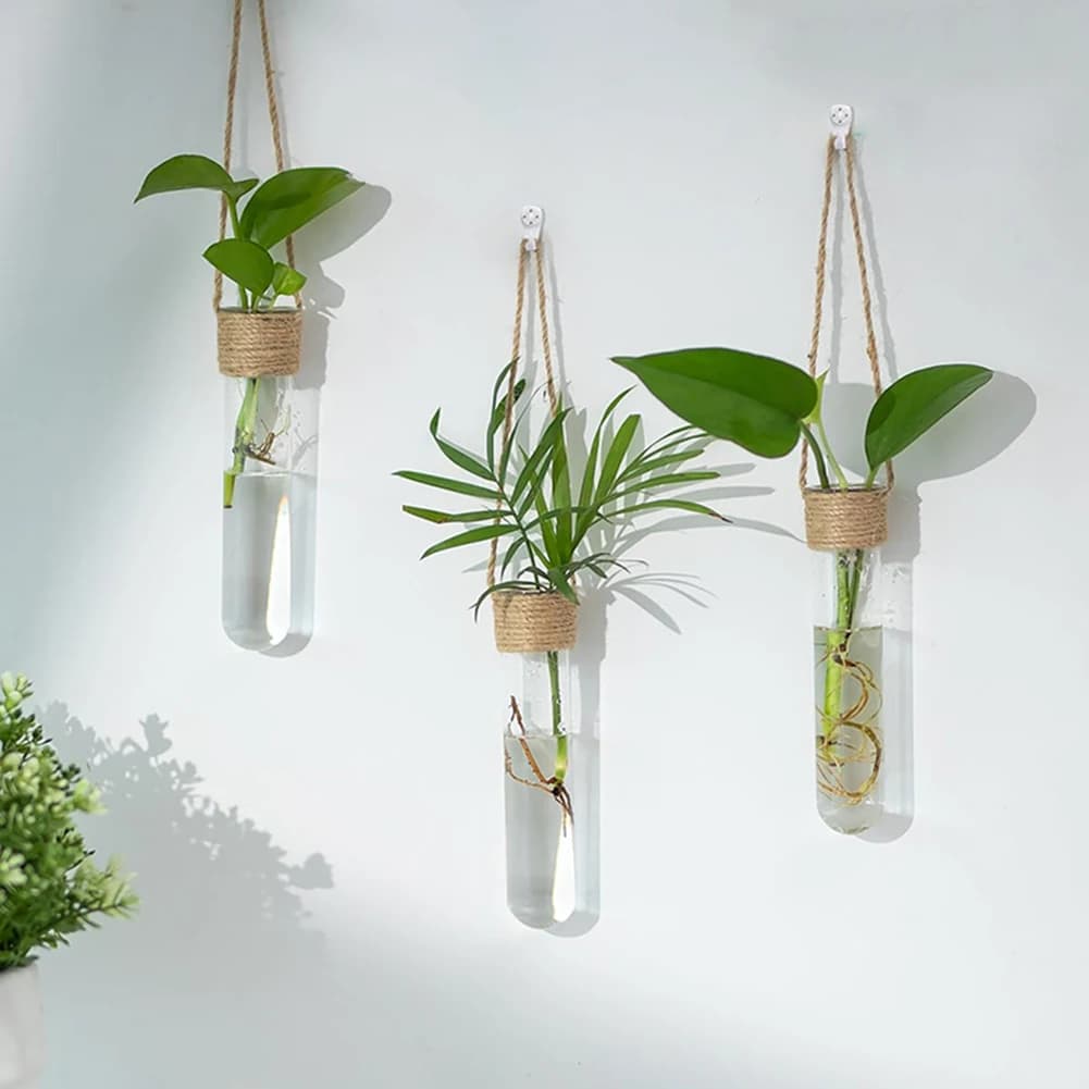 Trêmos três vasos de vidro transparente com plantas verdes pendurados na parede