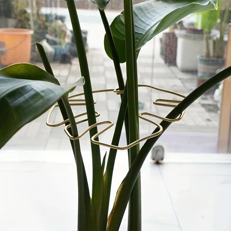 Suporte para plantas suspensas em ferro dourado para decoração de vasos de flores