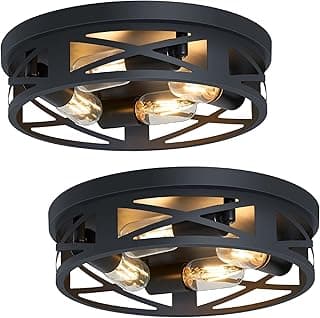 SKEJAO Luminária de teto de montagem embutida, luminária de teto com 4 lâmpadas de 35,5 cm para corredor, teto de luminárias pretas para corredor, luminárias de teto para cozinha, fazenda, hall