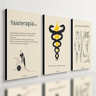 Kit 3 Quadros Decorativos Fisioterapia Consultório Clínica MDF 28x20cm