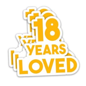 (3 peças) 18 Years Loved Sticker Happy 18th Birthday Adesivos de vinil à prova d'água It's My 18th Birthday para garrafas de água, álbuns, diários, 7,6 x 7,1 cm