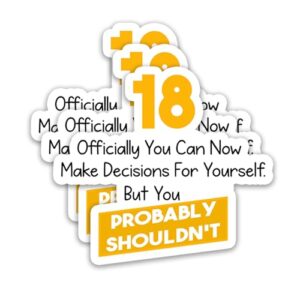 (3 peças) Adesivos engraçados de aniversário de 18 anos – 18 Oficialmente You Can Now Make Decisions for Yourself - Decalques de vinil à prova d'água It's My 18th Birthday para garrafas de água