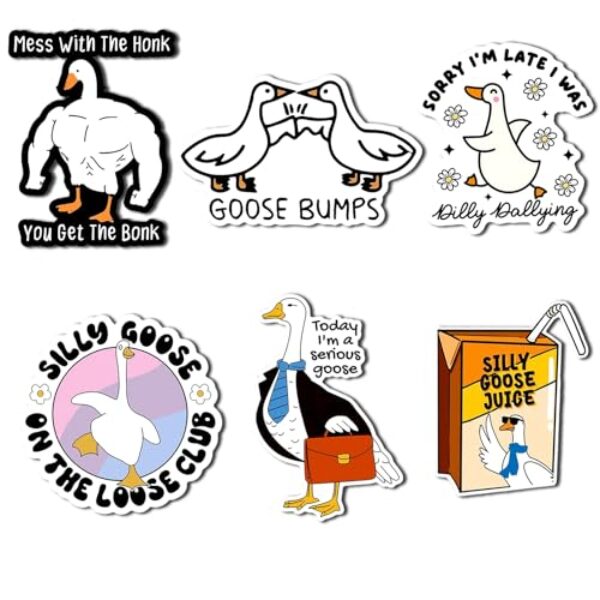 6 peças de imãs de geladeira engraçados meme de ganso, ímã de geladeira bem-humorado para amantes de gansos, presentes para mulheres, gansos, ímãs de geladeira, jogos, cozinha, decoração de casa