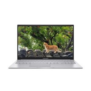 ASUS Laptop Vivobook 15, tela IPS FHD de 15,6 polegadas (1920 x 1080), Intel i5-120U, Deca-Core, RAM DDR4 de 16 GB, SSD PCIe de 1 TB, Bluetooth 5.2, HDMI, Cool Silver, Windows 11 Home, mouse pad e