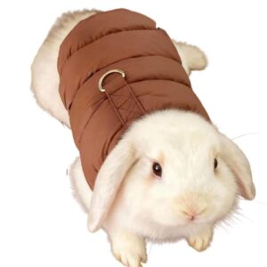 Casaco grosso de coelho, agasalho, jaqueta de algodão com orelhas flexíveis, conjunto de filhotes de gatinho fofo, roupas de inverno para animais de estimação, para uso ao ar livre, quente, suéter