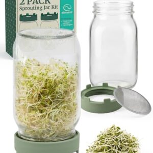 Elementi Kit de pote para germinação - Conjunto de 2 frascos de vidro de boca larga com tampas de broto e tela de malha de aço inoxidável - Kit de germinação de sementes e frascos de broto para