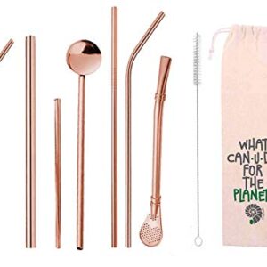 Kit Completo 10 em 1 – Canudos de Inox Reutilizáveis com Escova, Estojo e Modelos Variados | Perfeito para Smoothies, Sucos e Drinks (Rosegold)