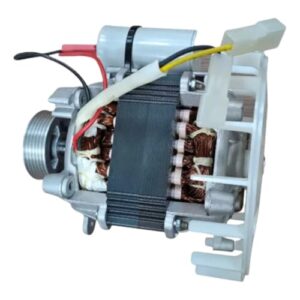 Motor Tanquinho Lavadora Mueller Plus Cmp | 220v | Original