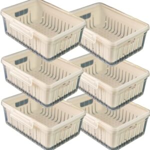 Organizador de Geladeira，Secador de Salada，Conjunto de 6 PeçAs，Capacidade de 3,8 Litros，Completo Com Tampa e Bandeja Interna para Drenagem de áGua，Adequado para Lavar Frutas e Legumes(6 Organizadores)