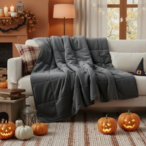 RJOP Cobertor pesado para adultos, tamanho Queen (60 x 80, 9 kg), algodão macio com contas de vidro premium para cama, sofá e cochilo para todas as estações (152 x 203 cm, 9 kg | Cinza)