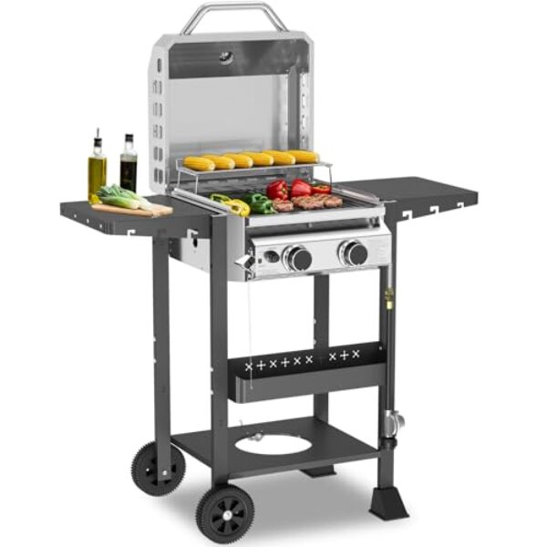 WAA Churrasqueira a gás propano com 2 bocas, churrasqueira de aço inoxidável 16000 BTU com grades de ferro fundido, prateleiras laterais de armazenamento, tampa superior, bandeja de óleo, rodas ideais