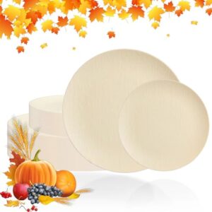 WONDERFUL 32 peças pratos de plástico marfim - pratos de festa reutilizáveis inquebráveis e laváveis na lava-louças. Conjunto de pratos de casamento fosco design inclui: 16 jantares 25,4 cm e 16