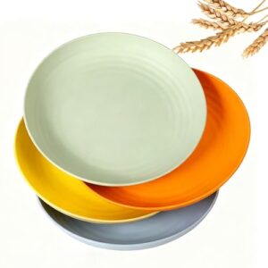 YUNSHENGFANGDM Conjunto de pratos de jantar de 23 cm de profundidade com 4 pratos de palha de trigo, prato de plástico profundo reutilizável para piquenique, aniversário, acampamento, várias cores