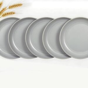 ZQtyf Conjunto de 5 pratos de jantar de palha de trigo, leve, inquebrável, seguro para lava-louças e micro-ondas, pratos de plástico reutilizáveis, perfeitos para acampamento, piquenique, sem BPA