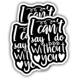(3 peças) Adesivos de casamento decalques de casamento I Can't Say I Do Without You vinil preto resistente ao clima adesivo para copo, garrafas de água, laptop, carro, adesivo de para-choque