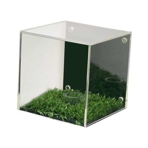 Fenteer Expositor Multifuncional para Bolas de Golfe com Base E Suporte para Bolas de Beisebol.