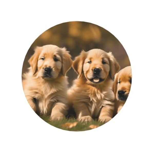 Golden Retriever Ímãs de geladeira para cães, filhotes, animais de estimação, para casa, cozinha, escritório, acessórios para presente diário de inauguração de casa