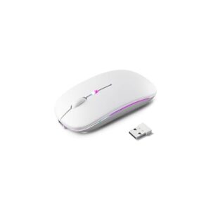 Mouse Sem Fio MS300B, Dupla Conexão 2.4GHz e Bluetooth, 1600 DPI, Branco, 11x6.5x3cm, com Cabo USB