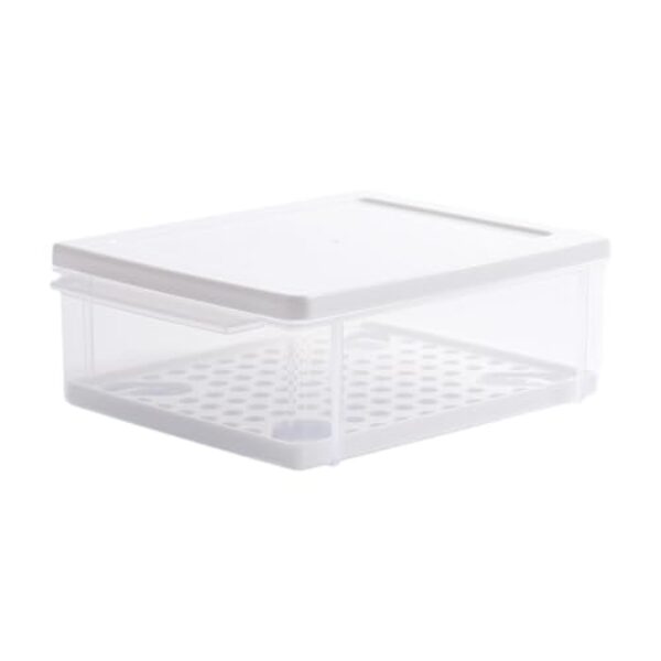 predolo Caixa para torradas, recipiente multiuso para geladeira, porta-sanduíches, porta-alimentos para frutas, carnes e piqueniques na cozinha.