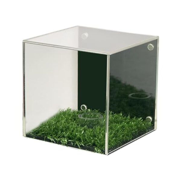 rockible Caixa Expositora Transparente Multiuso para Bolas de Golfe, Ideal para Guardar E Armazenar Diversas Bolas.