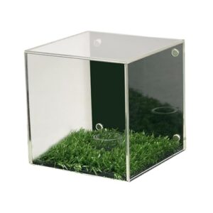 simhoa Vitrine para Bolas de Golfe, Coleção de Bolas, Suporte Exclusivo para Bolas Esportivas Colecionáveis.