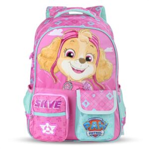 Xeryus - Mochila Xeryus 16 Patrulha Canina Skye 15272 Rosa e Verde Água - Infantil - Único - Rosa