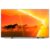Smart TV Philips 55 Polegadas 4K UHD, LED, THE XTRA, 55PML9118/78